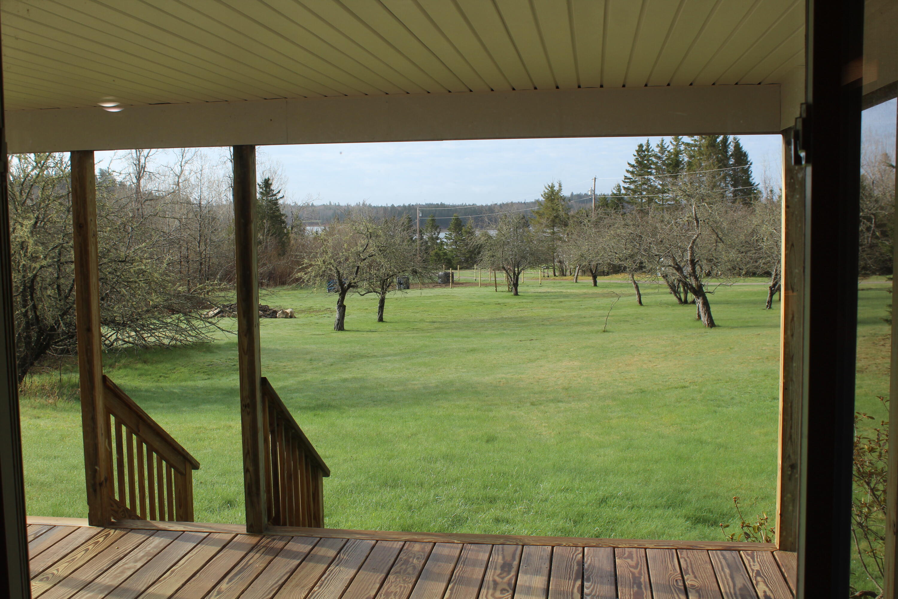 164 Leach Point Road Perry, ME 04667 - Photo 16 of 62 IMG_6297