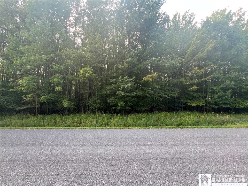 583 Prosser Hill Road Kiantone, NY 14701 - Photo 8 of 10