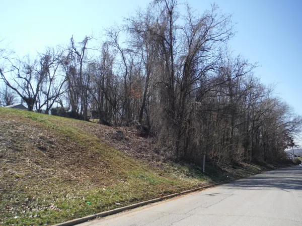 $24,000 | 0 Locust Street, Unit 78, Greeneville, TN 37745