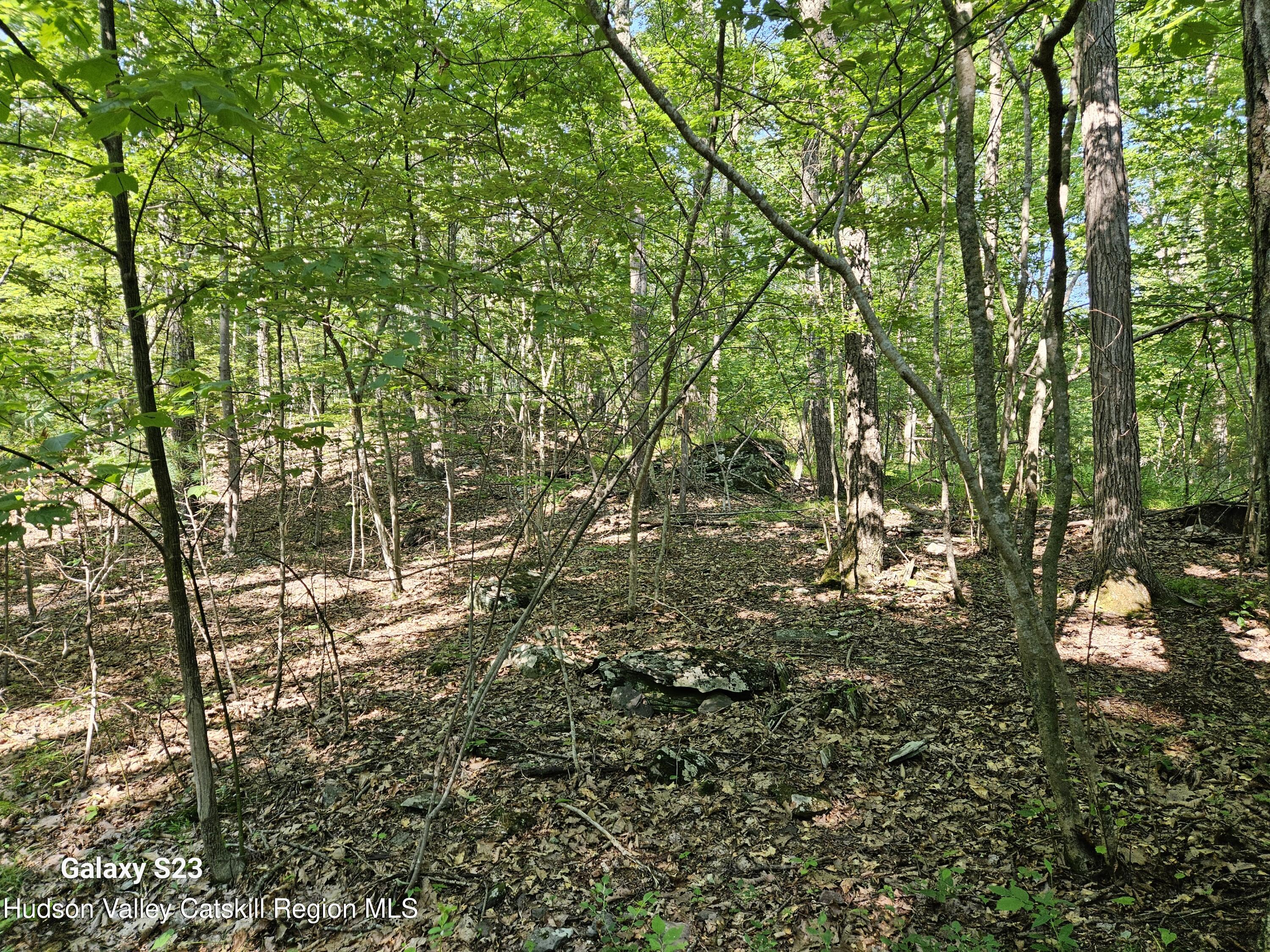 0 Hearts Content Road Catskill, NY 12414 - Photo 4 of 21 20260711_163717(1)
