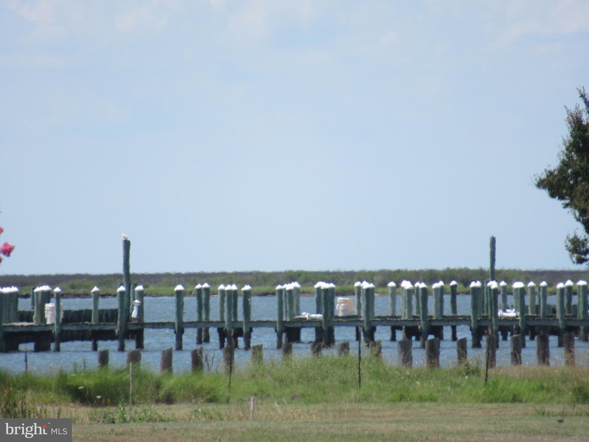 24 Hammock Pointe Road Crisfield, MD 21817 - Photo 5 of 6 Elevated view from lot, only raised a few feet