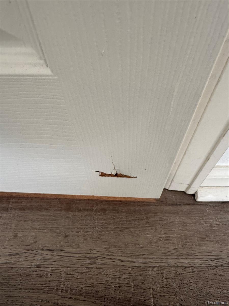 17227 Waterhouse Circle, Unit F Parker, CO 80134 - Photo 8 of 11