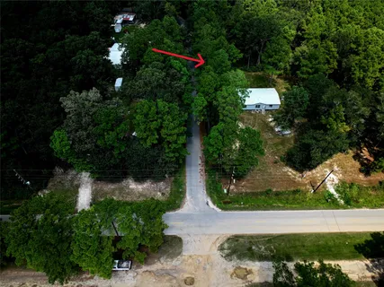 a view of a park with large trees