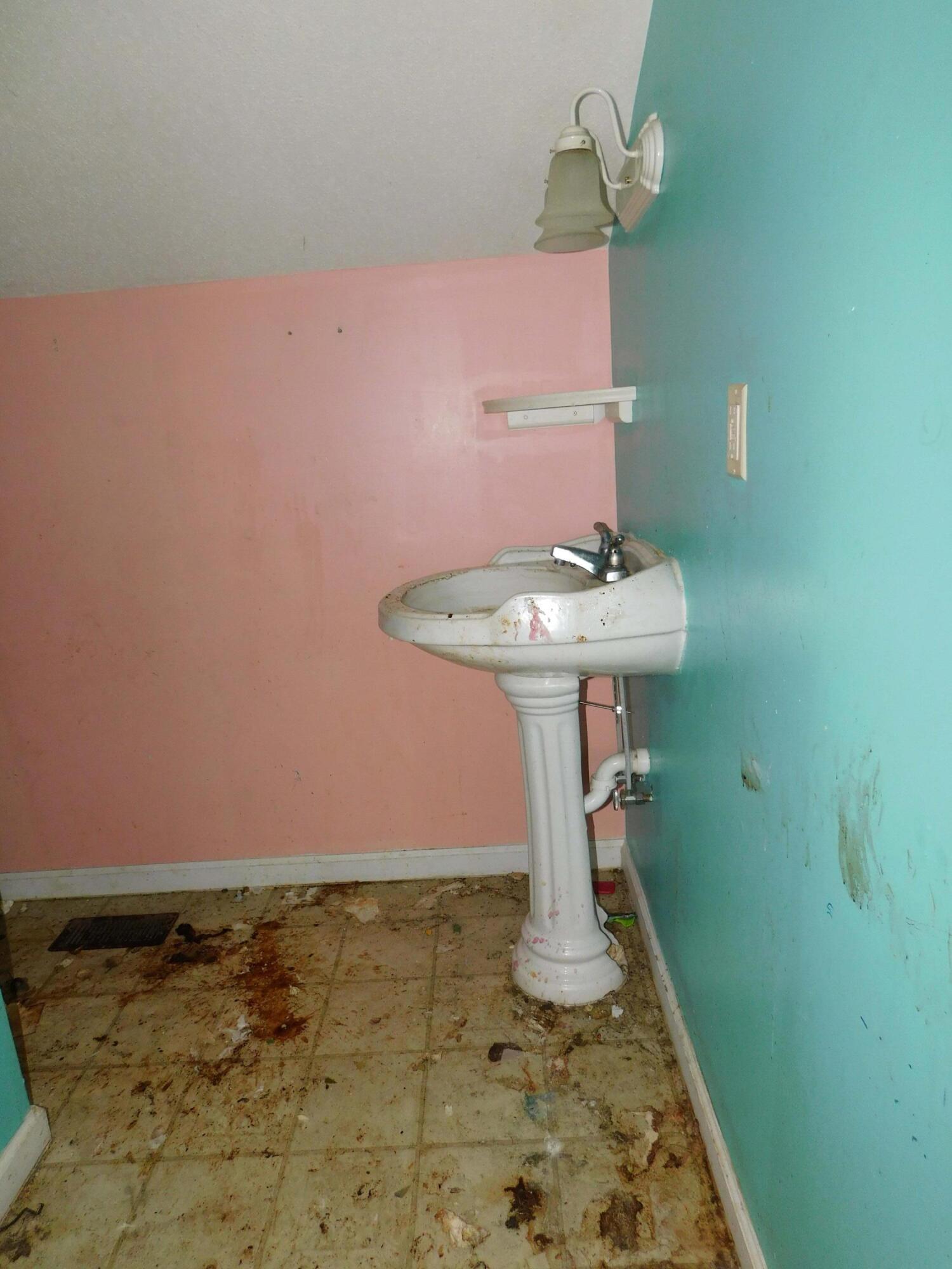47 Perry Road London, KY 40744 - Photo 22 of 30 Horrible bathroom