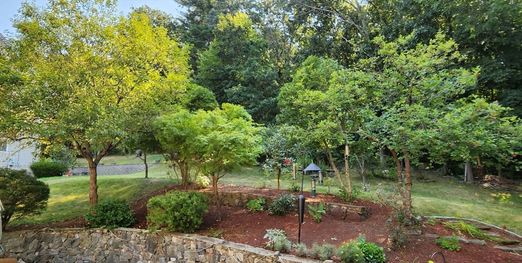 7 Tree Top Way Methuen, MA 01844 - Photo 28 of 32