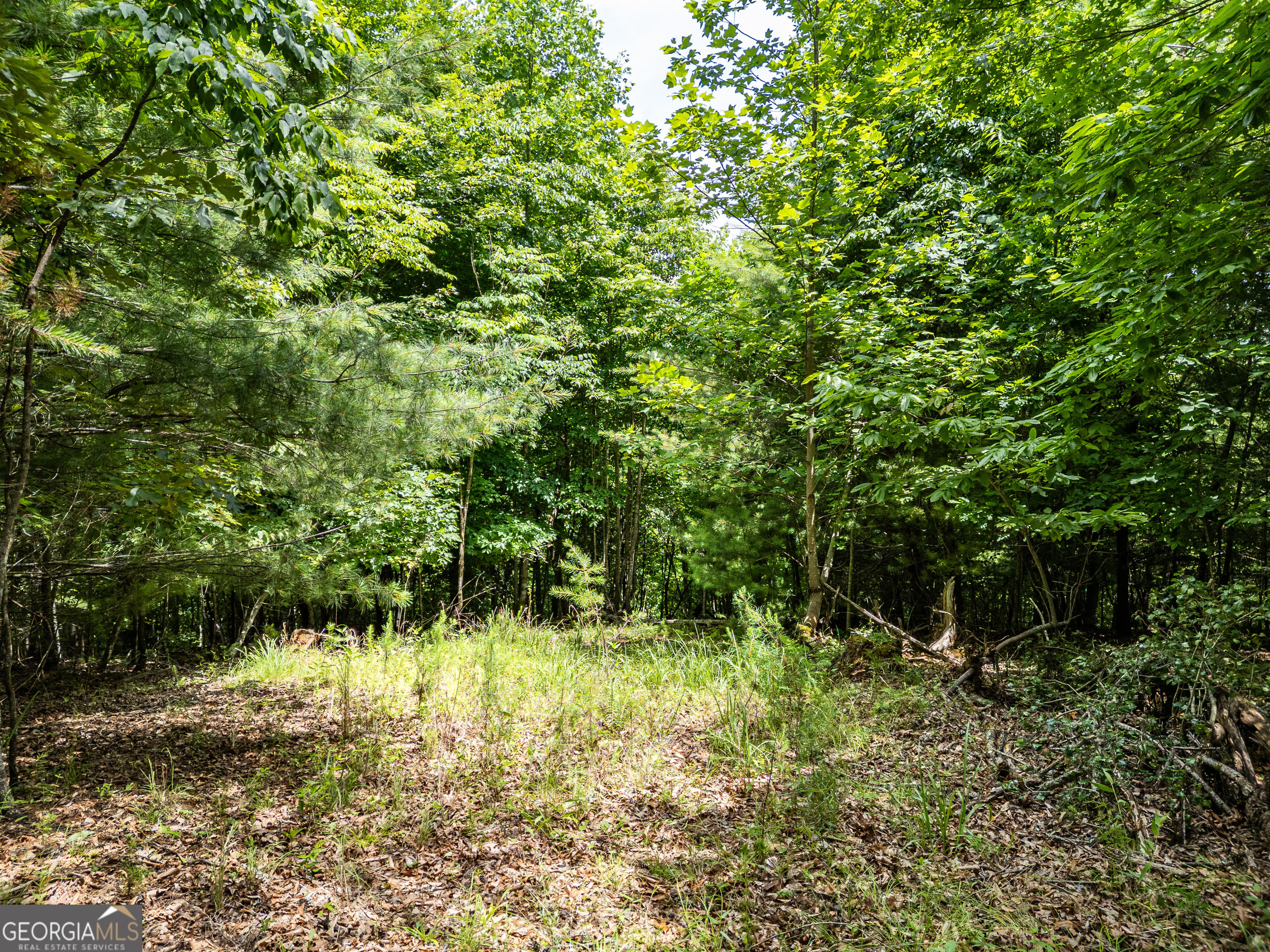 2 Stormy Ridge Brasstown, NC 28902 - Photo 8 of 16