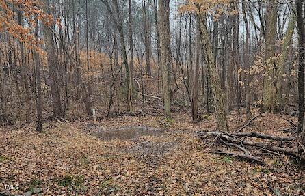 Screenshot 2025-04-29 at 11.26.31AM