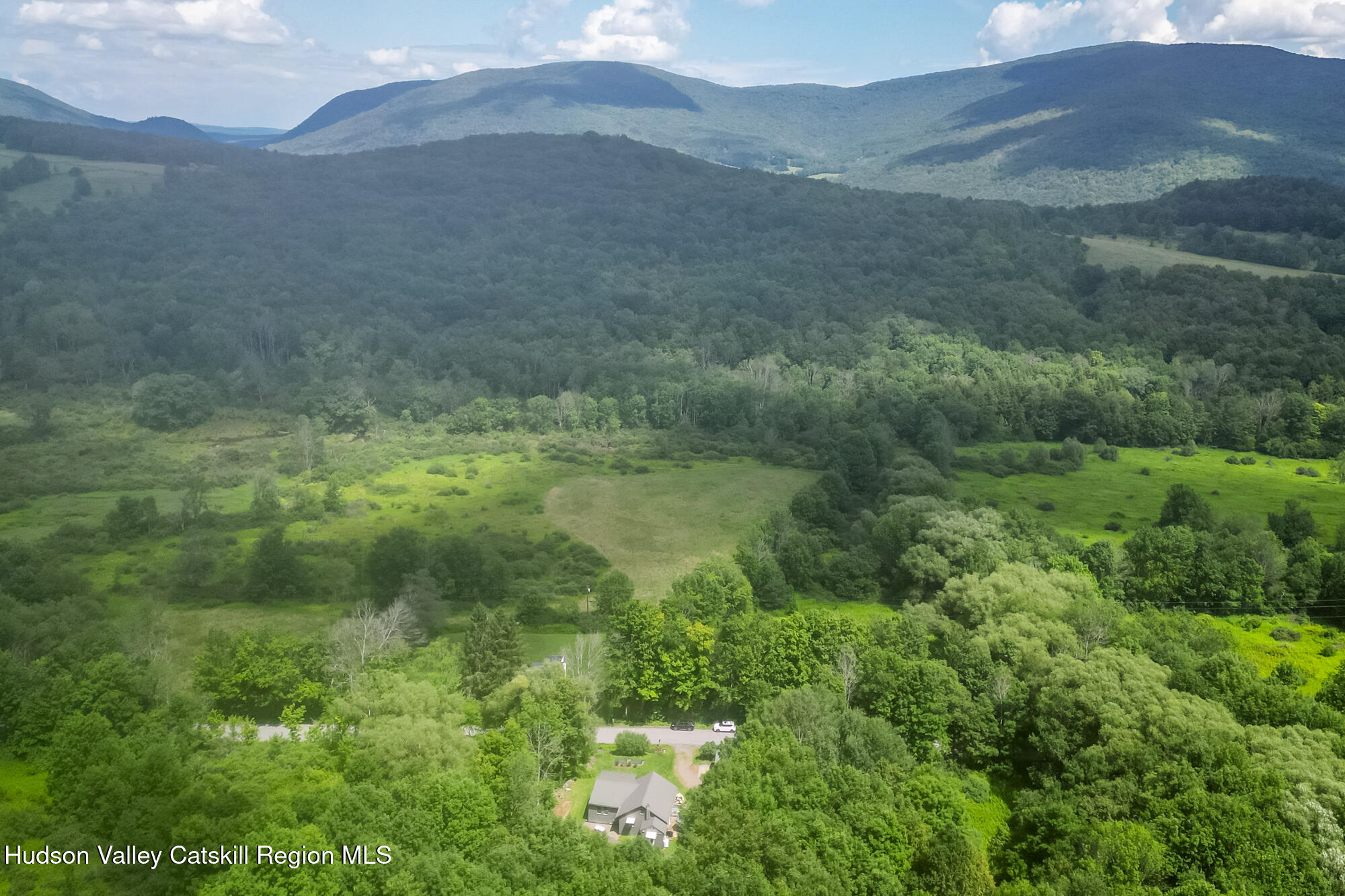 1689 Hard Scrabble Road Roxbury, NY 12474 - Photo 30 of 35 Hardscrabble1689aerial-2