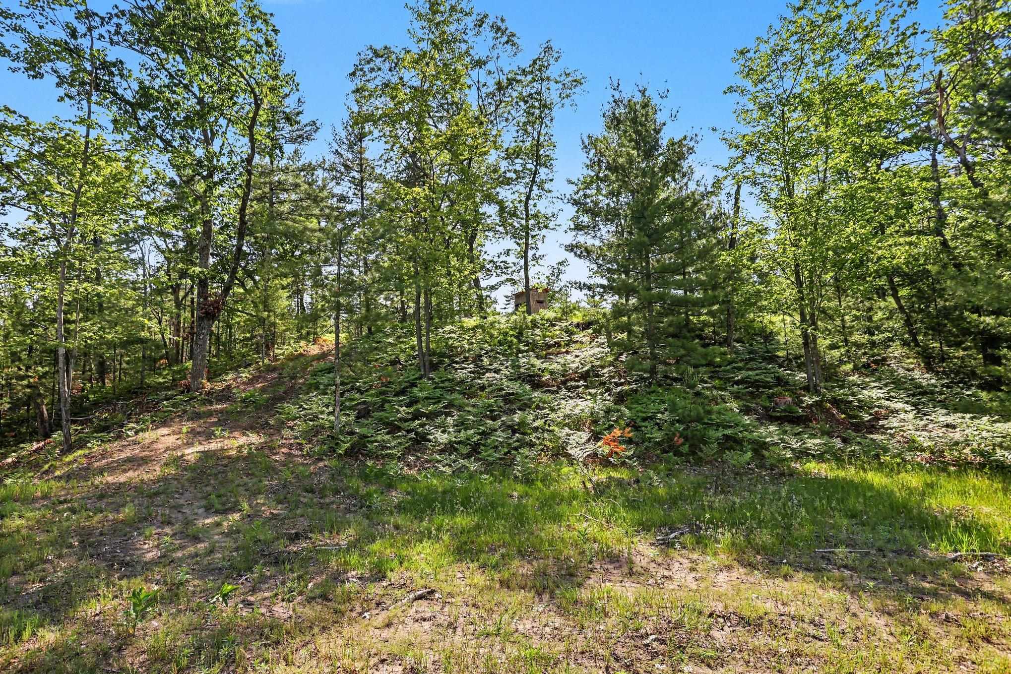 0 Fairview Road West Branch, MI 48661 - Photo 1 of 23