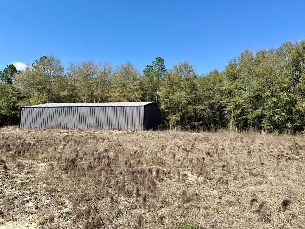 2326 Campbell Hill Road Chancellor, AL 36316 - Photo 5 of 33