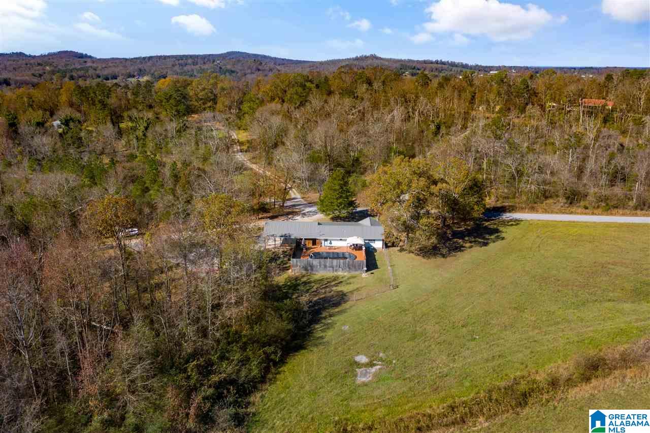 11 Posey Road Blountsville, AL 35031 - Photo 40 of 50