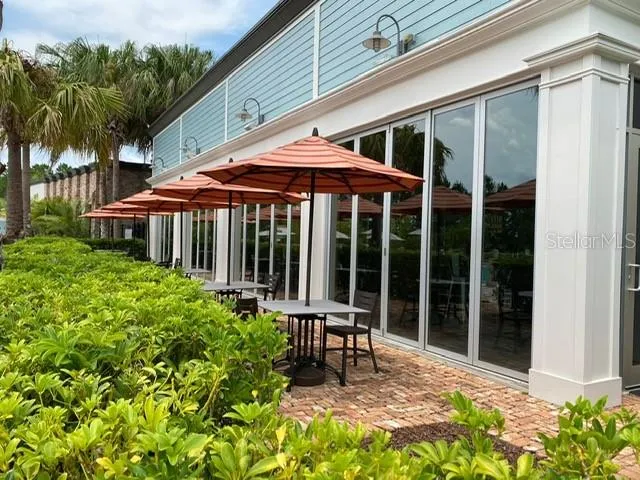 an outdoor space with patio couches and a potted plant