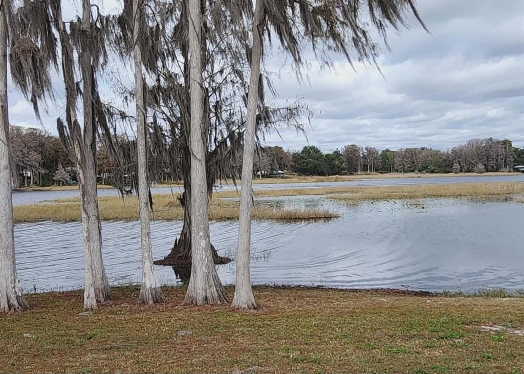 1425 South Homestead Point Inverness, FL 34450 - Photo 51 of 72 a view of a lake with a mountain