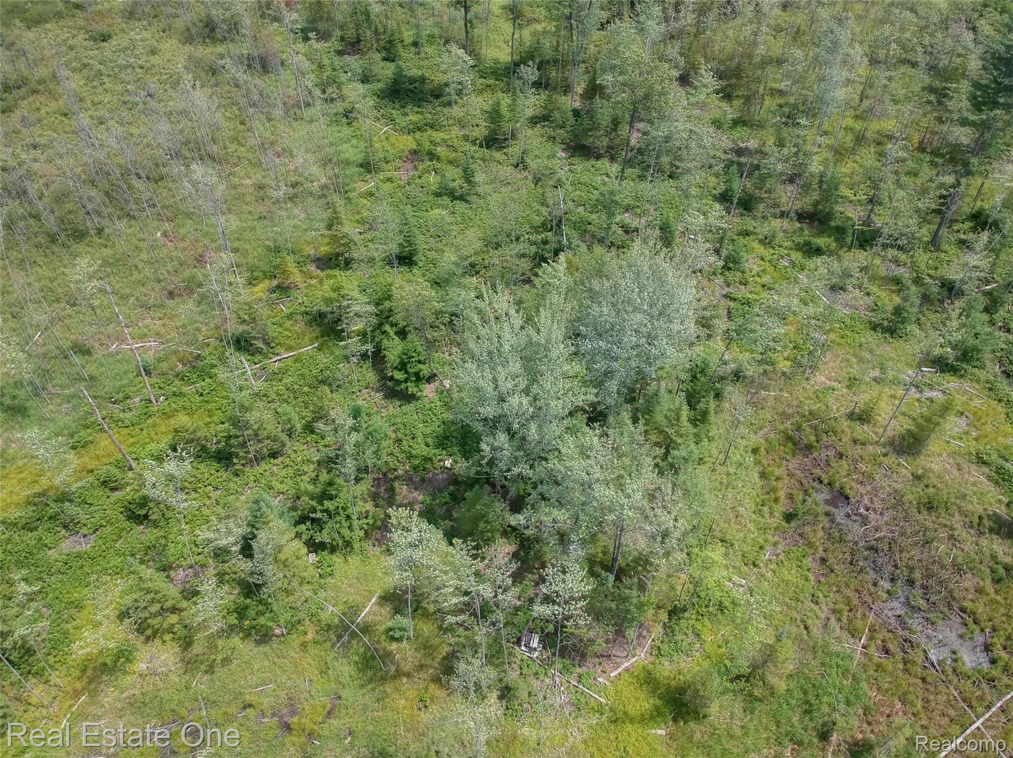 0 South Morrison Road Alger, MI 48610 - Photo 20 of 38 DJI-3449-50-51-MLS.jpg