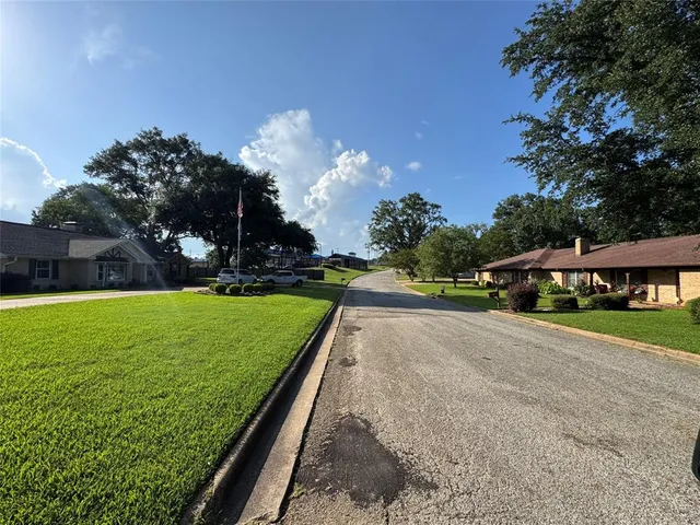 a view of a park with large trees