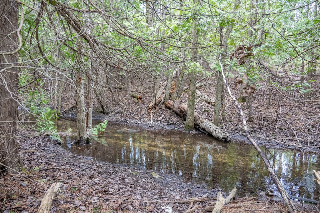 Lot 2 Hill Road Sister Bay, WI 54234 - Photo 5 of 35
