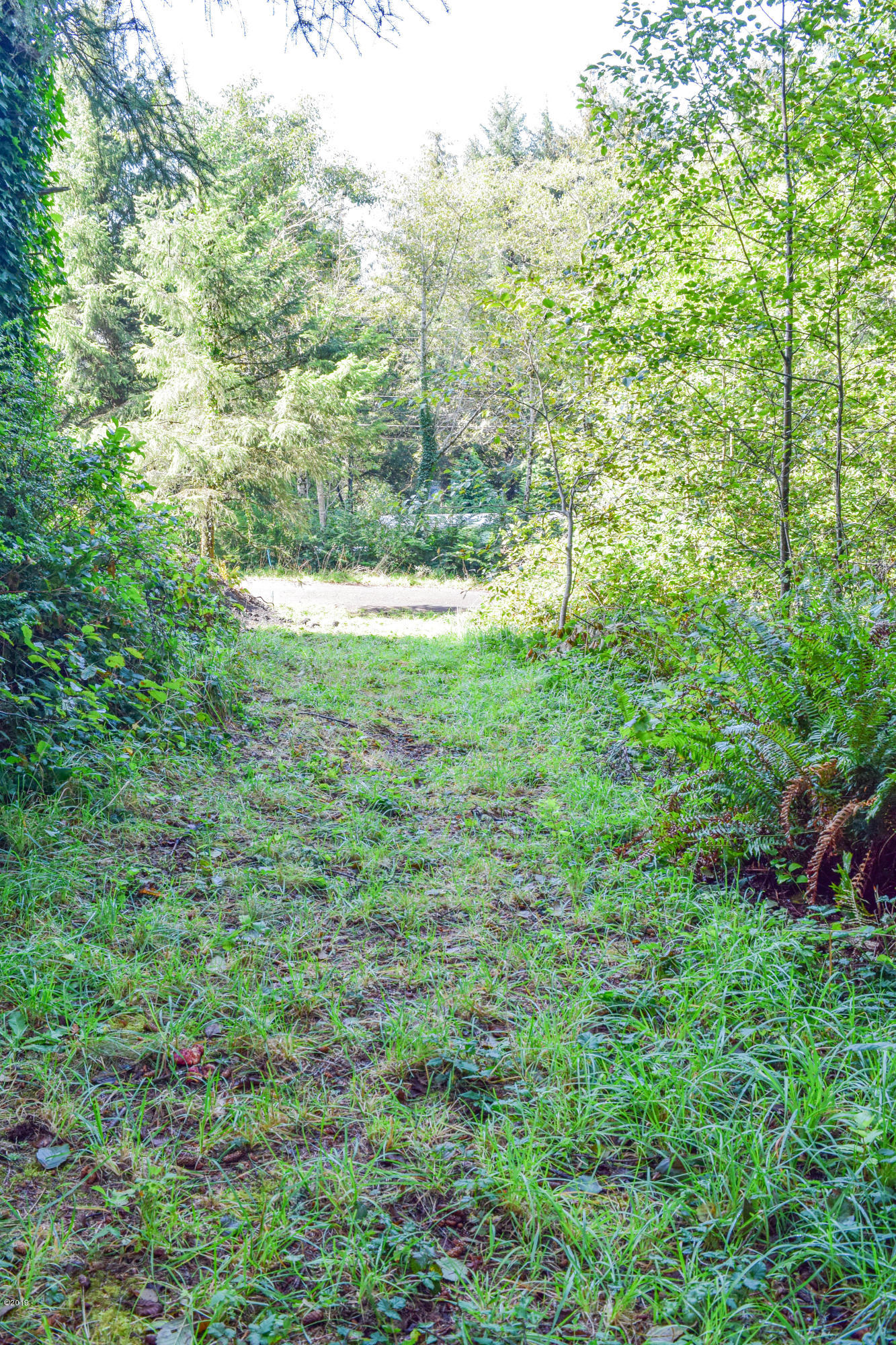 3174 Northeast East Line Road Yachats, OR 97498 - Photo 8 of 12 East Line