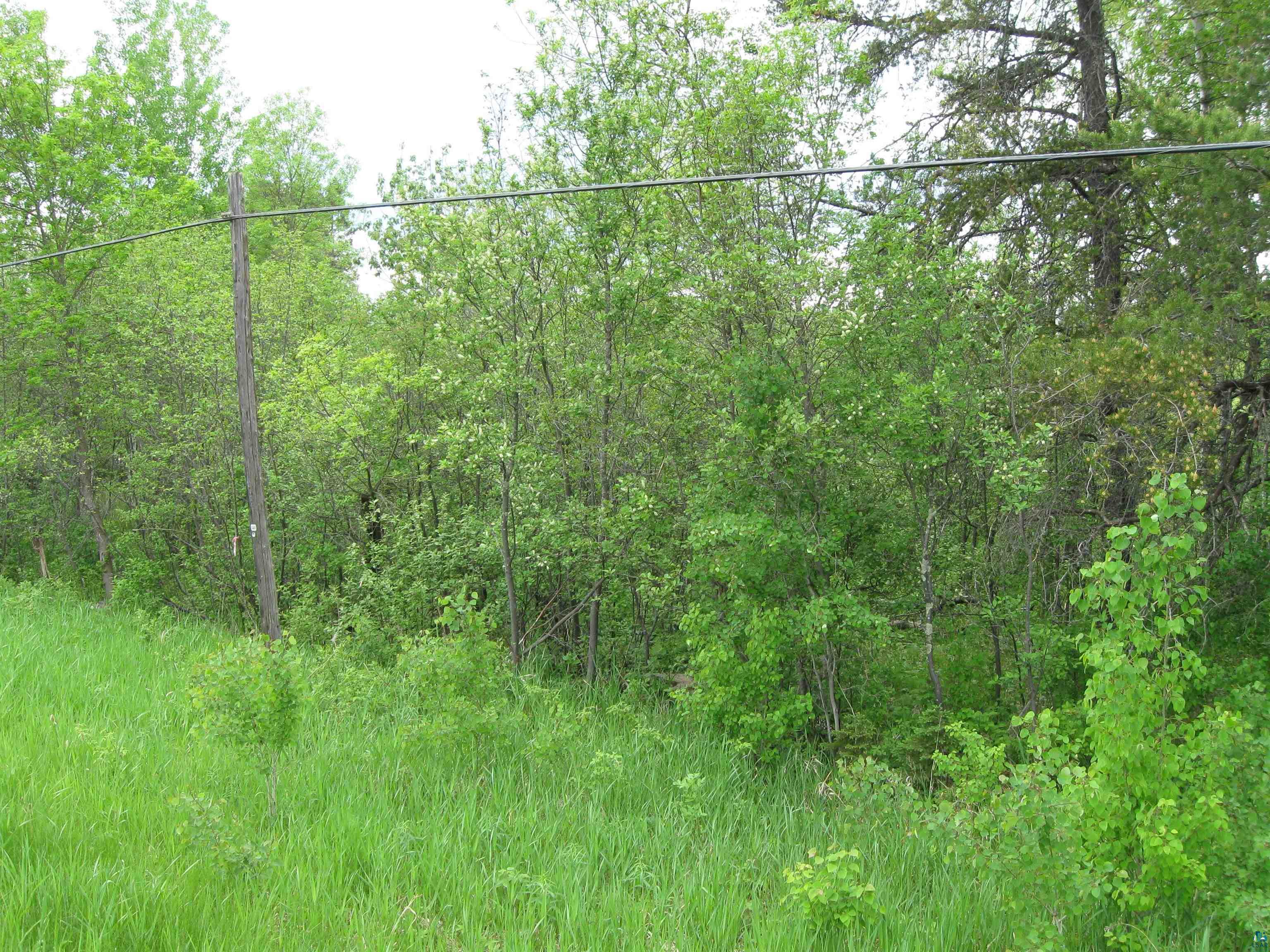 52-xx Morris Thomas Road Hermantown, MN 55810 - Photo 8 of 10 Gallery Image 8