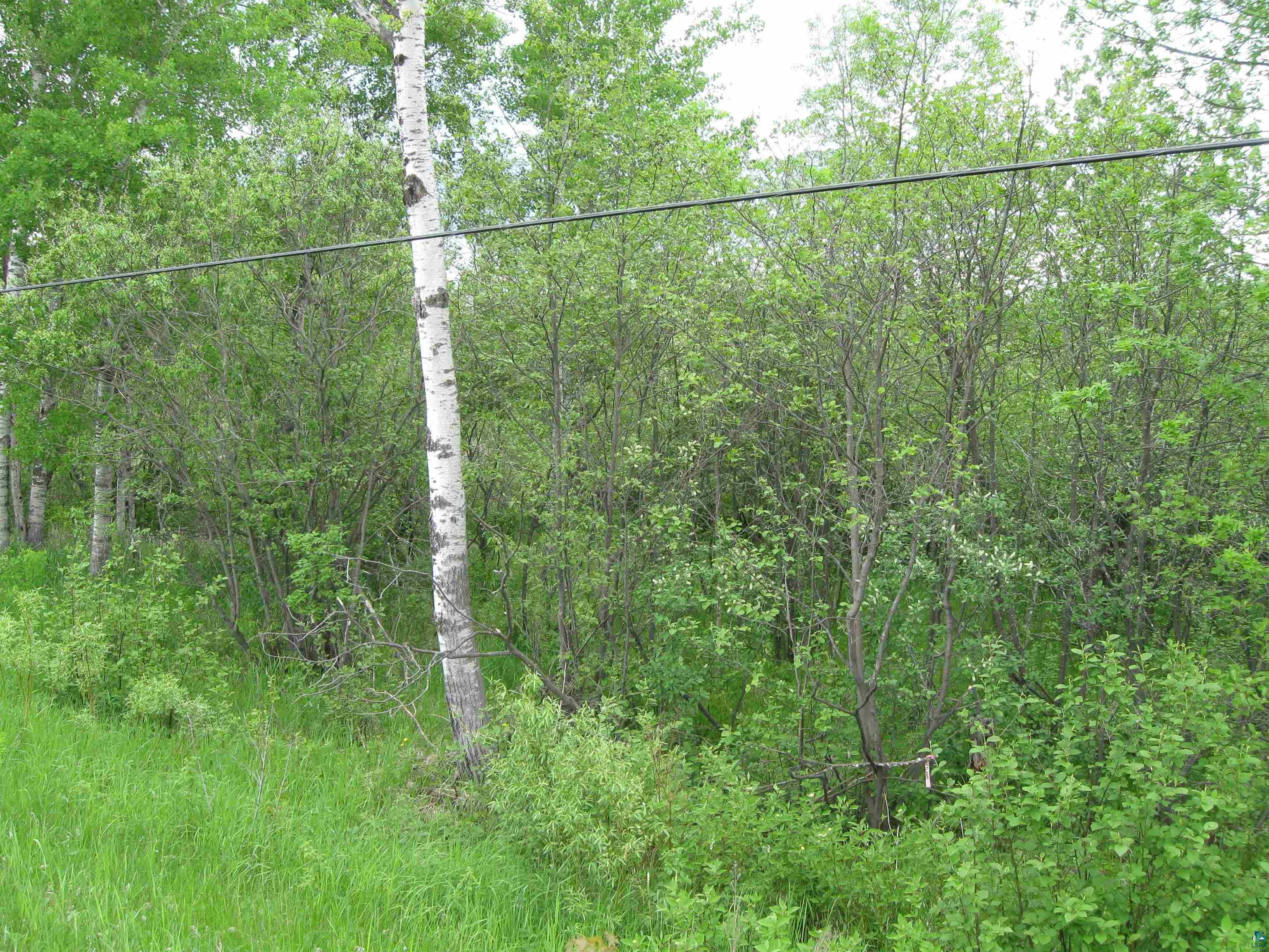 52-xx Morris Thomas Road Hermantown, MN 55810 - Photo 9 of 10 Gallery Image 9