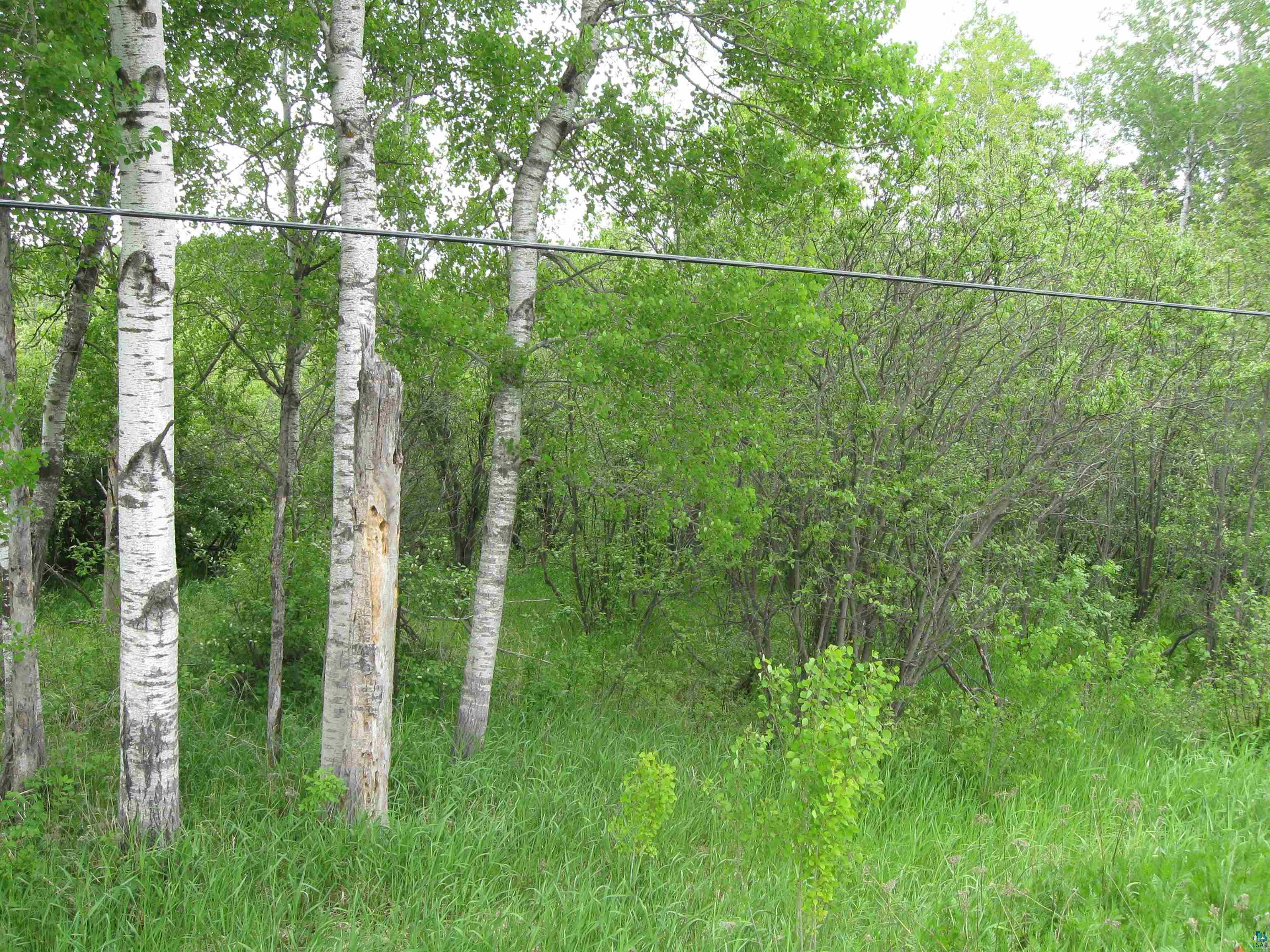 52-xx Morris Thomas Road Hermantown, MN 55810 - Photo 10 of 10 Gallery Image 10