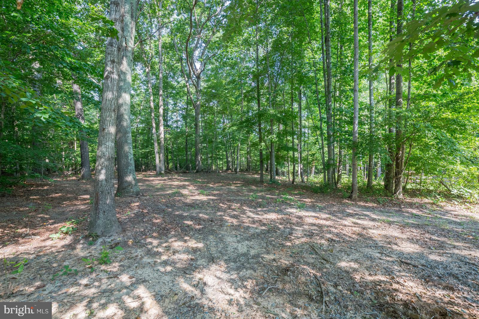 484 Cropp Road Fredericksburg, VA 22406 - Photo 4 of 29 Park Like Setting In Back Yard