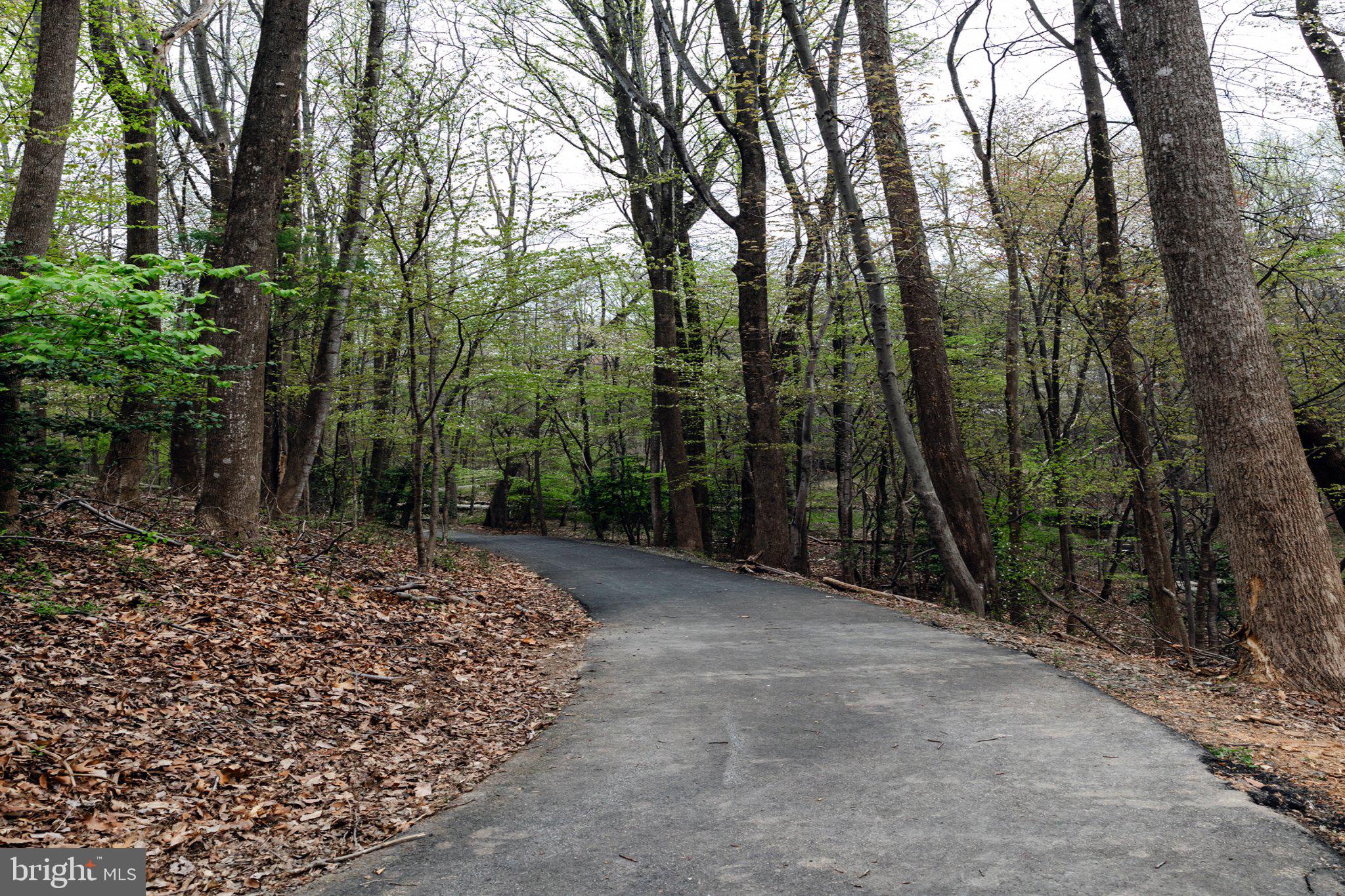 11804 Breton Court, Unit 21 Reston, VA 20191 - Photo 16 of 18 Winding path through lush greenery.