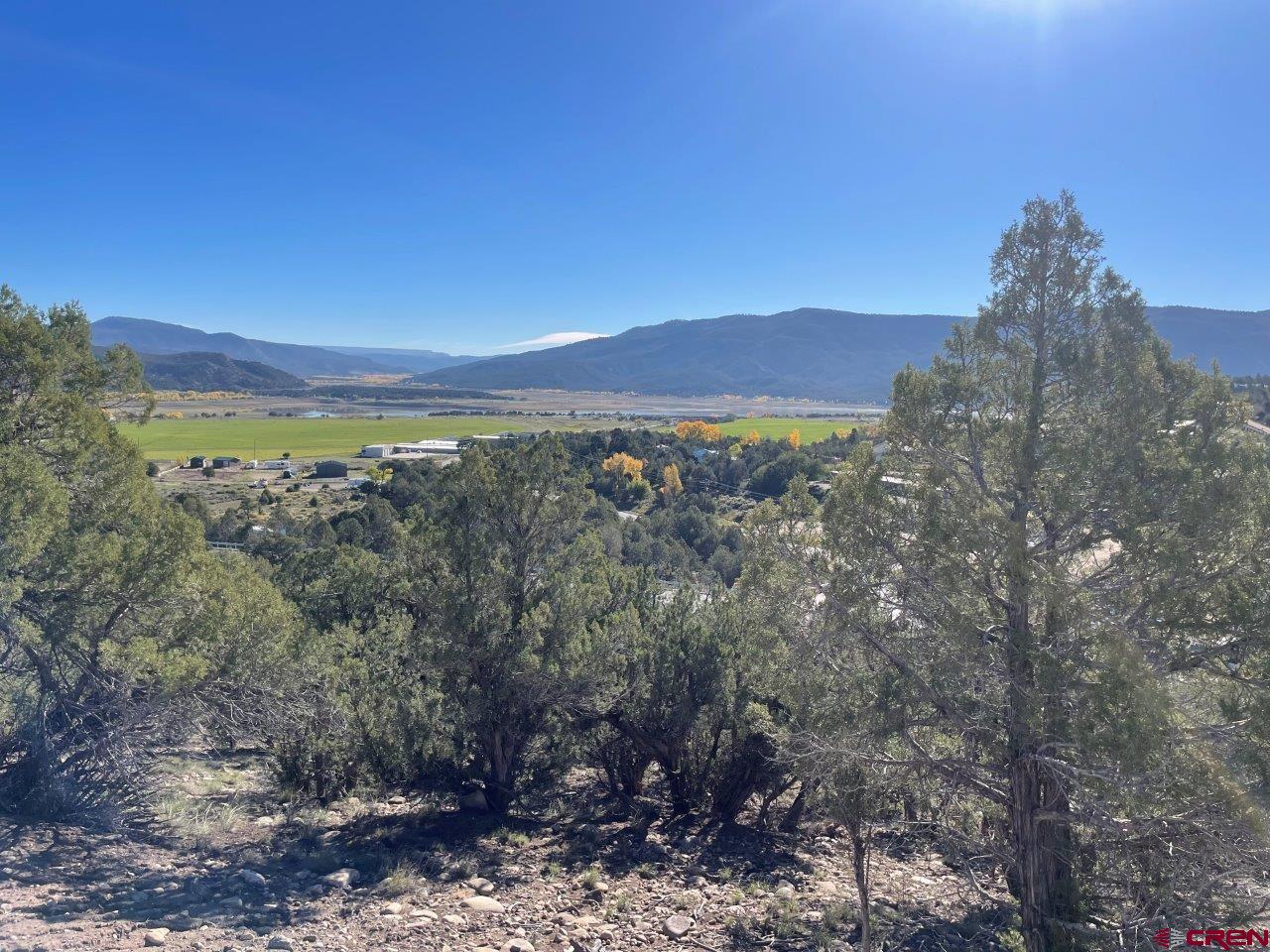 440 Run Around Road Arboles, CO 81121 - Photo 14 of 18 a view of a forest with mountains in the background