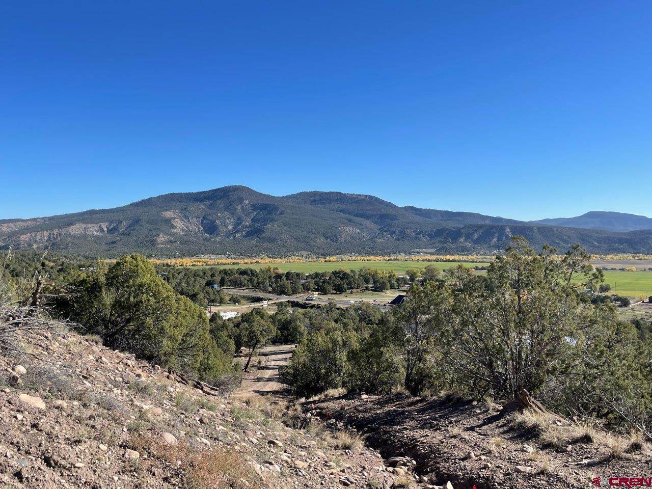 440 Run Around Road Arboles, CO 81121 - Photo 15 of 18 a view of a lush green field with mountains in the background