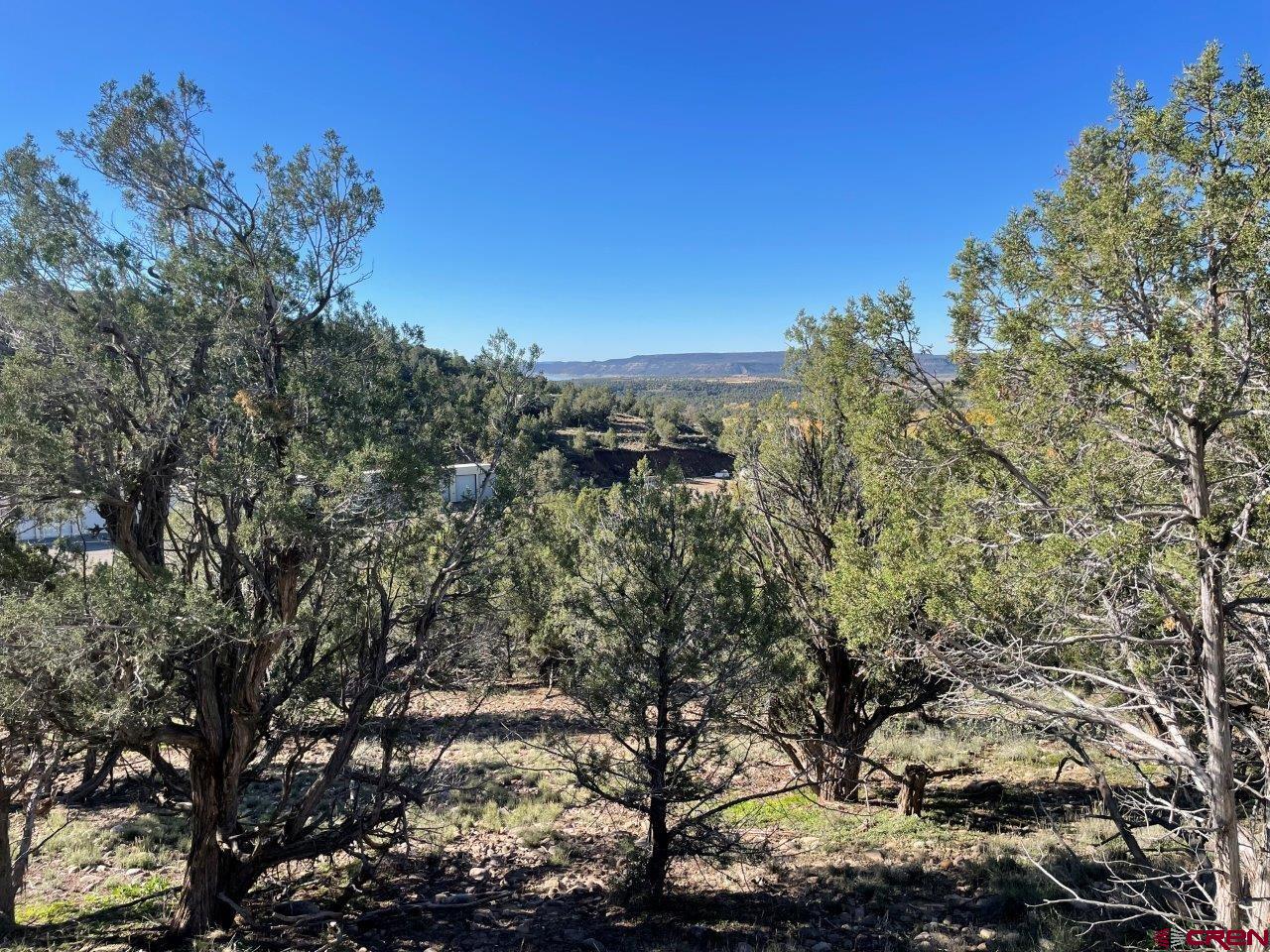 440 Run Around Road Arboles, CO 81121 - Photo 3 of 18 a view of a city