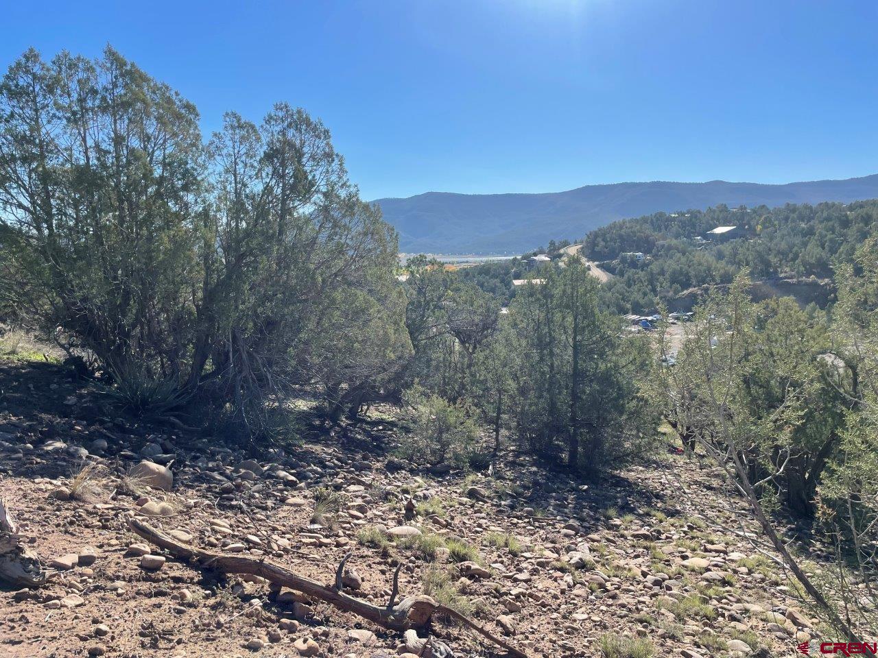 440 Run Around Road Arboles, CO 81121 - Photo 4 of 18 a view of a forest with mountains in the background