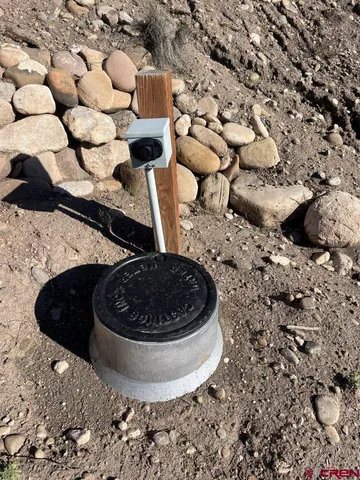 a view of a yard with a house