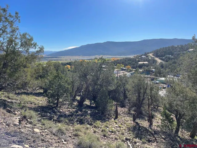 a view of a dry yard with trees