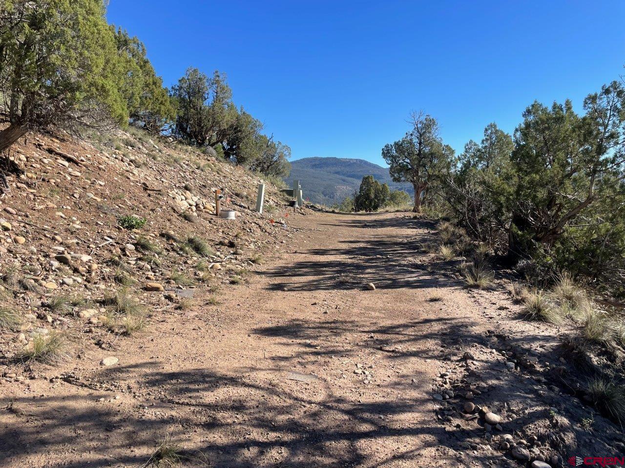 440 Run Around Road Arboles, CO 81121 - Photo 10 of 18 a view of a dry yard with trees