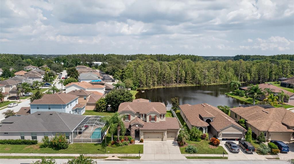 1120 Maza Place Trinity, FL 34655 - Photo 34 of 35 an aerial view of a