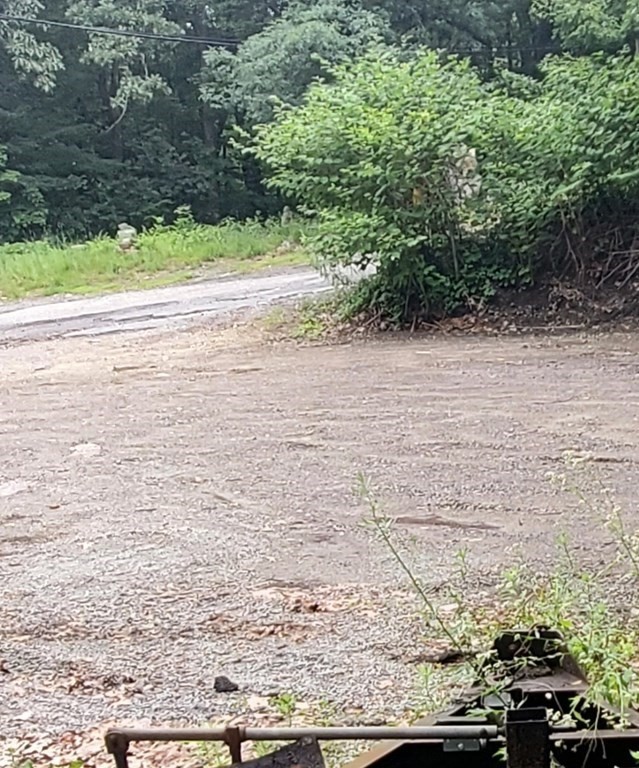 35 Dane Avenue Worcester, MA 01607 - Photo 2 of 4