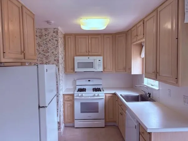 a kitchen with a stove a sink and a refrigerator