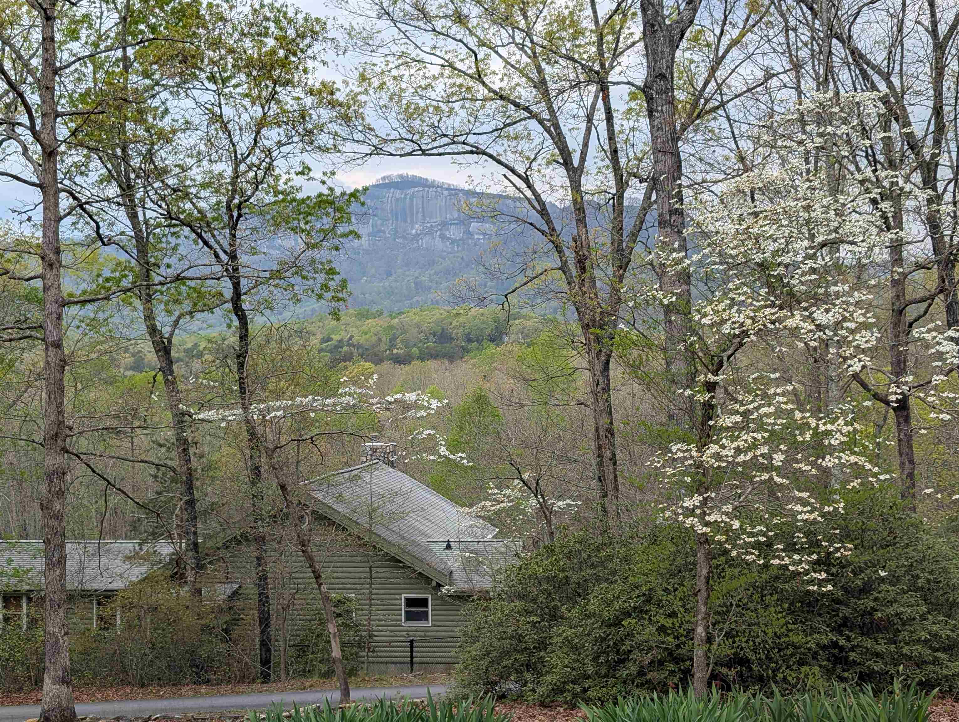 116 Dorothy Lane Pickens, SC 29671 - Photo 2 of 50