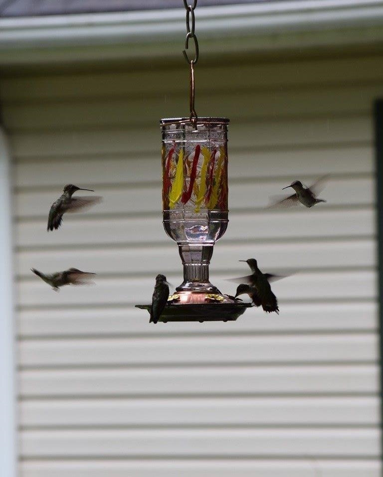116 Dorothy Lane Pickens, SC 29671 - Photo 45 of 50