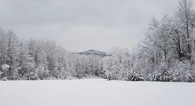 $774,900 | 116 Dorothy Lane, Pickens, SC 29671