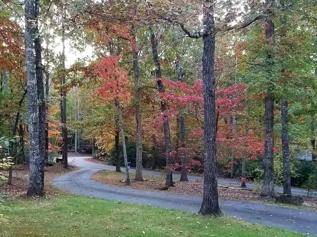 $774,900 | 116 Dorothy Lane, Pickens, SC 29671