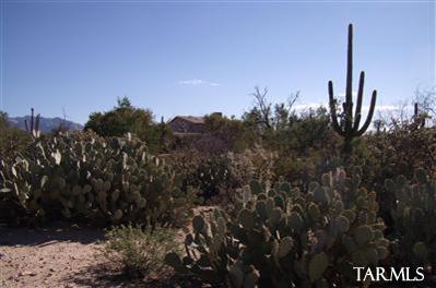 4530 West Cortaro Farms Road Tucson, AZ 85742 - Photo 6 of 6