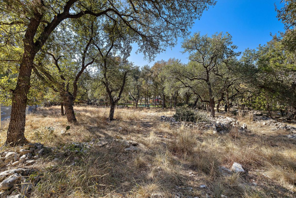 4203 Azul Court Georgetown, TX 78628 - Photo 36 of 38 a view of a forest with trees