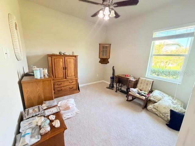 16214 Mulholland Road Parrish, FL 34219 - Photo 36 of 57