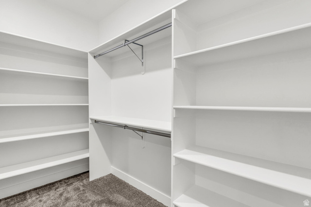 520 East 450th Street North Delta, UT 84624 - Photo 20 of 48 Walk in closet with dark carpet