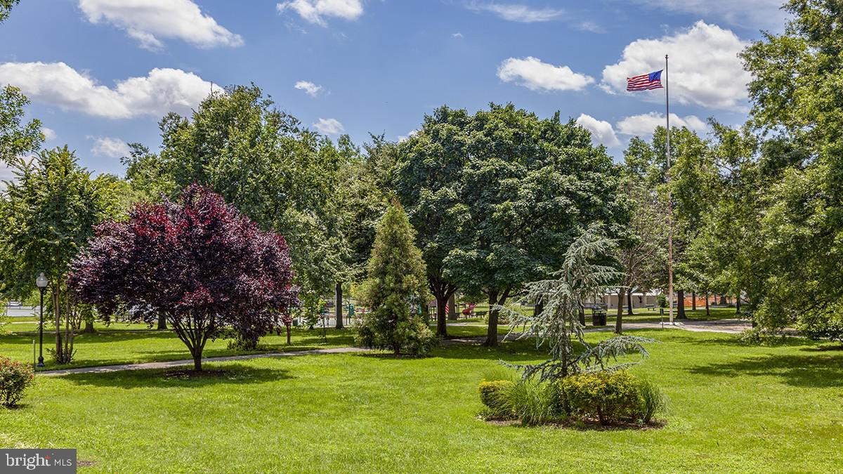1436 Steuart Street Baltimore, MD 21230 - Photo 55 of 56 a green field with lots of trees