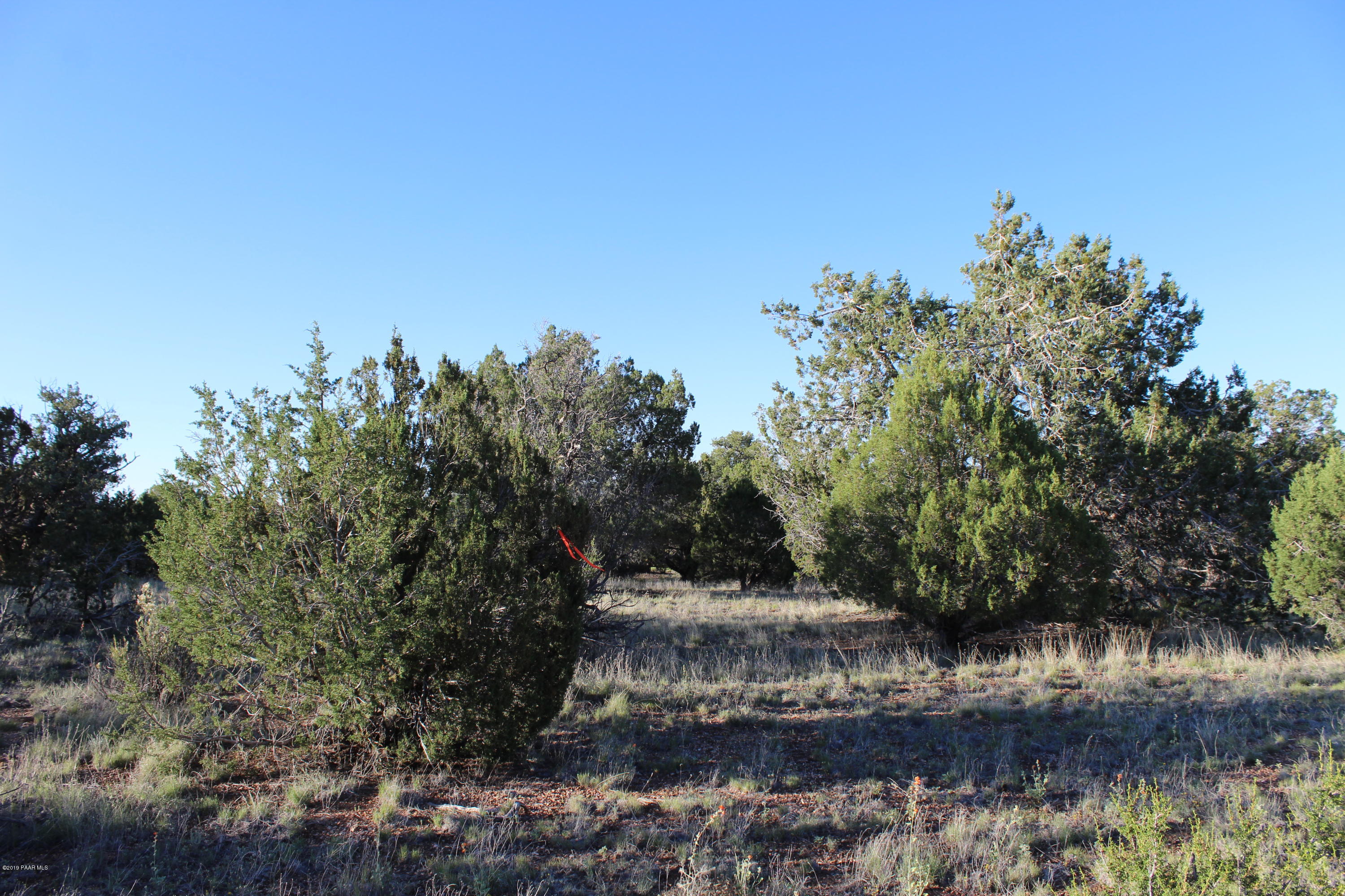 34836 West Avenida Risco Seligman, AZ 86337 - Photo 6 of 7 IMG_2047
