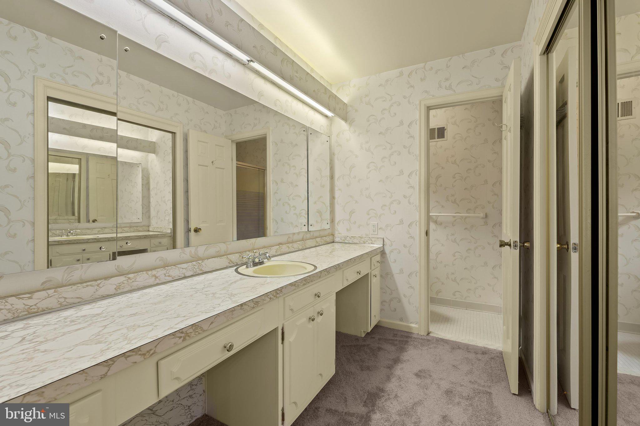 12709 Hammonton Road Silver Spring, MD 20904 - Photo 29 of 55 Primary Bath