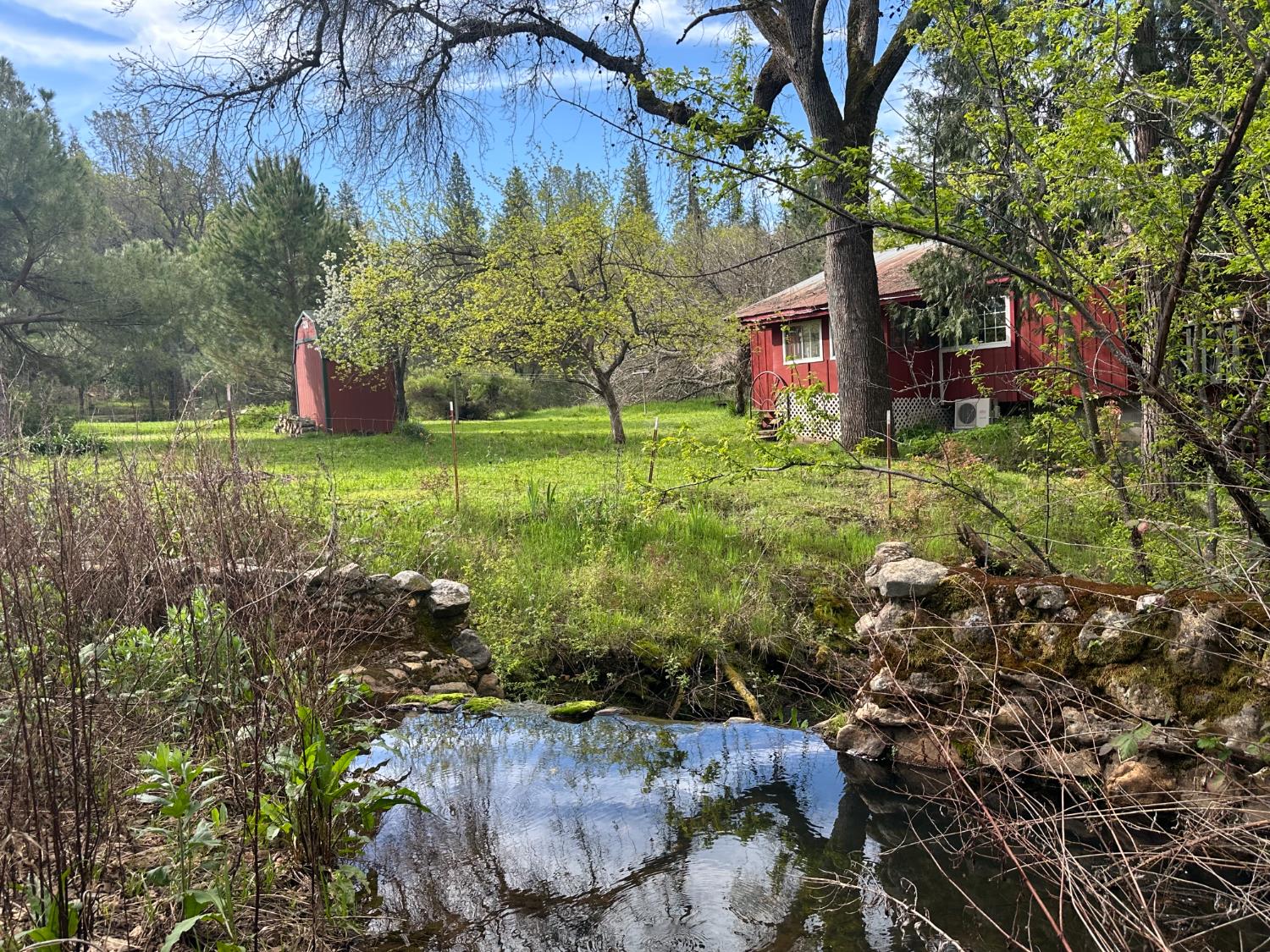 5889 Michel Road Mountain Ranch, CA 95246 - Photo 1 of 1 a backyard of a house with lots of green space