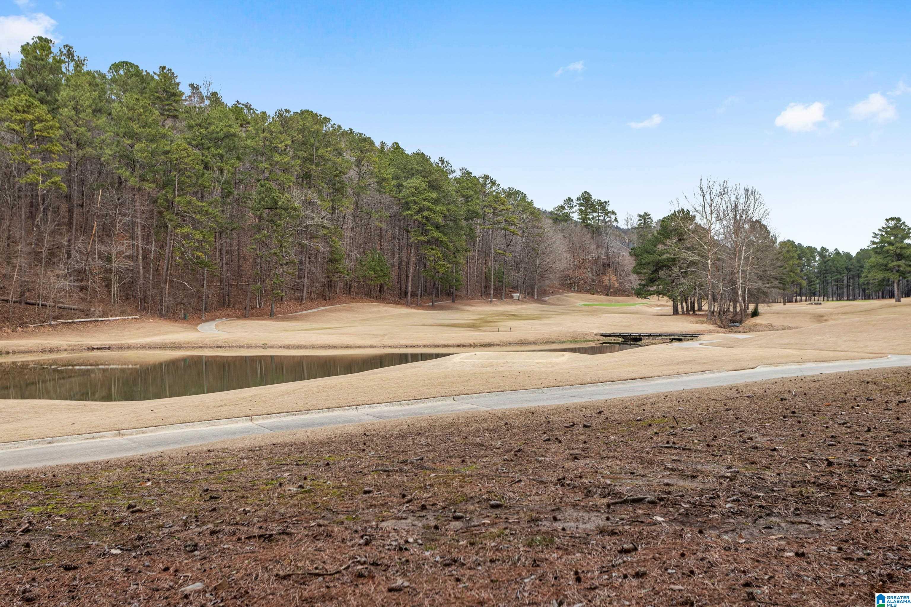 83 Muirfield Circle Oneonta, AL 35121 - Photo 13 of 46