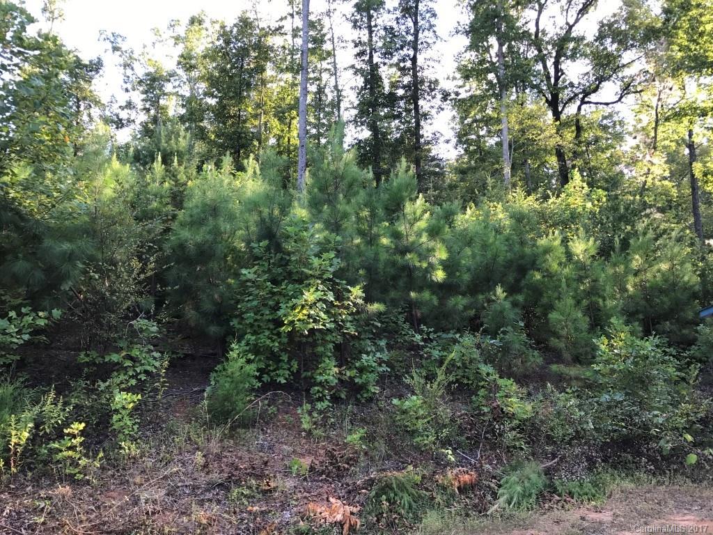 2915 Big Level Road, Unit 1 Mill Spring, NC 28756 - Photo 12 of 22